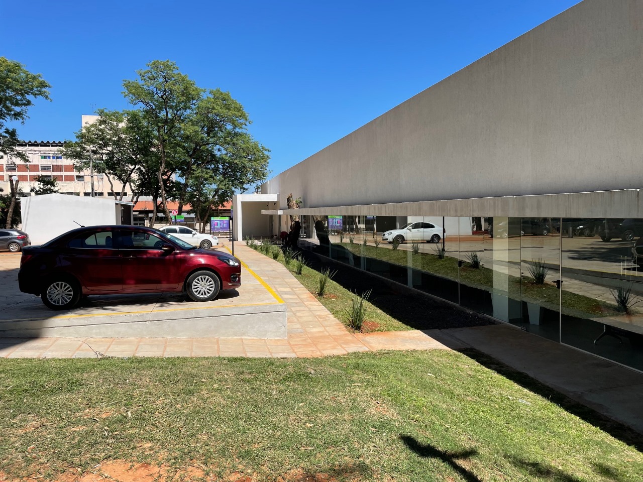 Banco de Sangre IPS_02